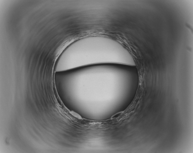 X0000103170052200808221137