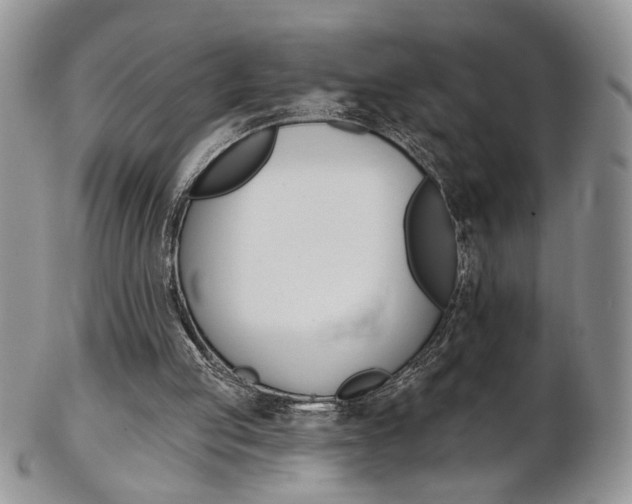 X0000103170053200808221137