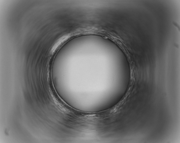 X0000103170054200808221137