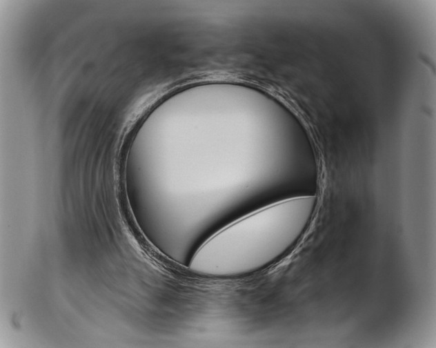 X0000103170055200808221137