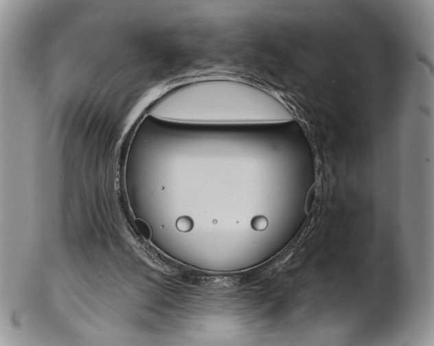 X0000103170056200808221137