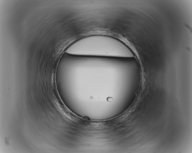 X0000103170057200808221137