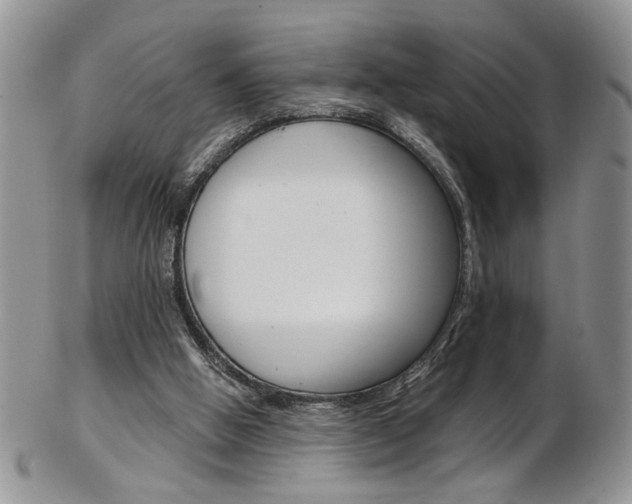 X0000103170058200808221137