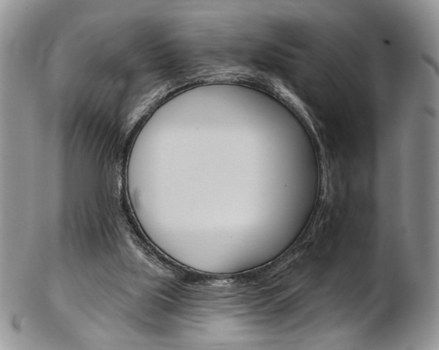 X0000103170059200808221138