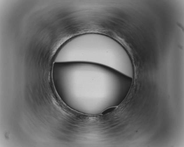 X0000103170060200808221138