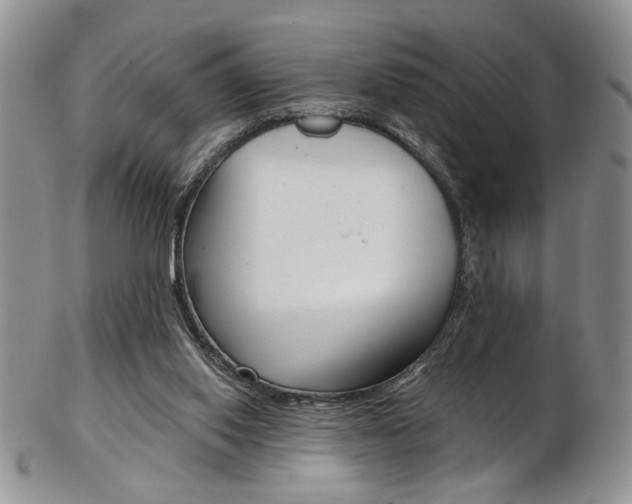 X0000103170062200808221138
