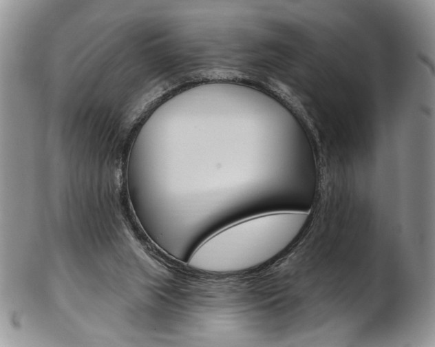 X0000103170063200808221138