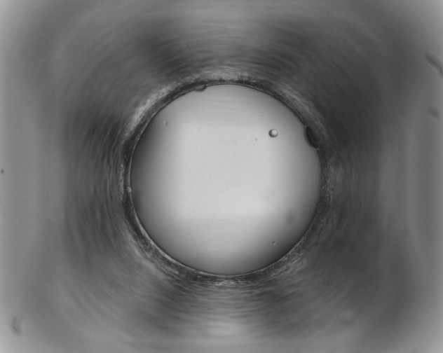 X0000103170064200808221138