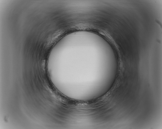 X0000103170066200808221138
