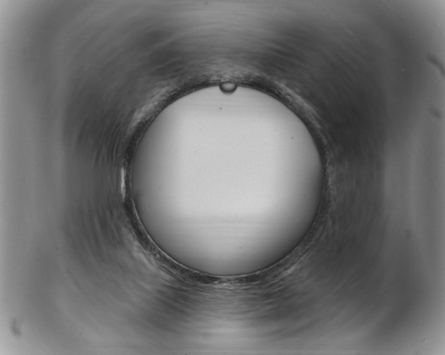 X0000103170067200808221138