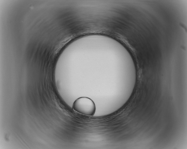 X0000103170068200808221138