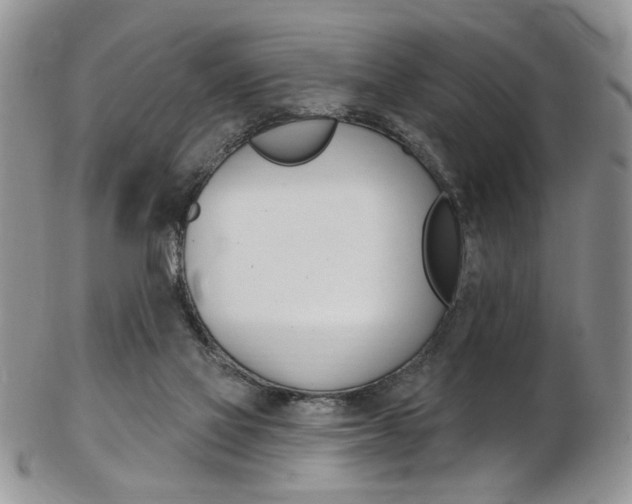 X0000103170069200808221138