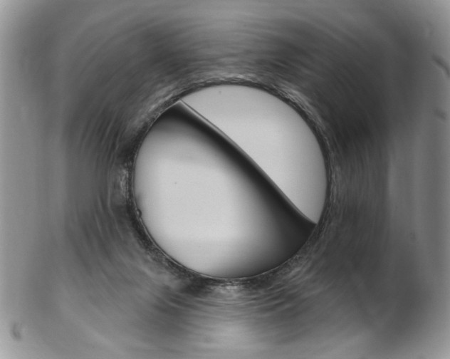 X0000103170071200808221138