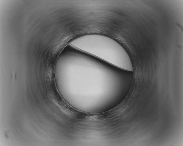 X0000103170072200808221138
