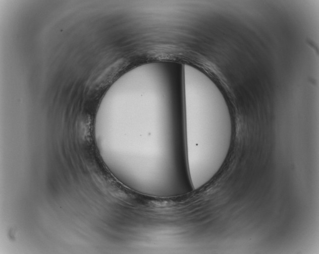 X0000103170073200808221138