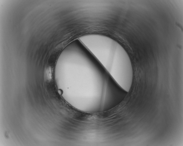 X0000103170075200808221138