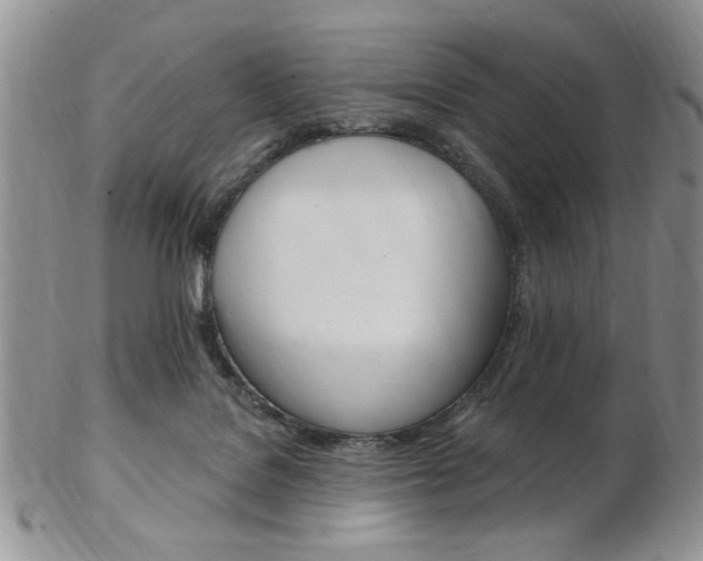 X0000103170076200808221138