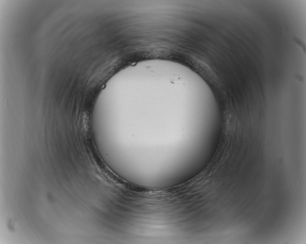 X0000103170077200808221138