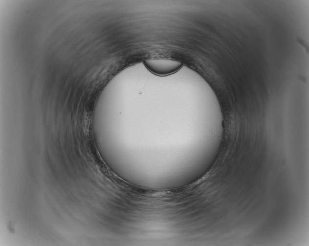 X0000103170078200808221138
