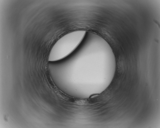 X0000103170079200808221138
