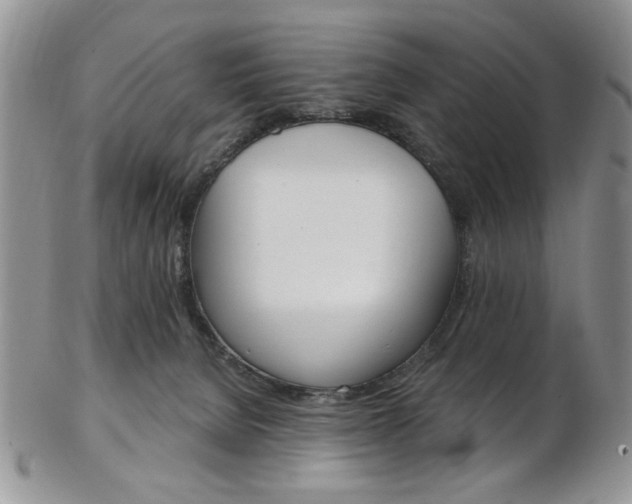 X0000103170080200808221138