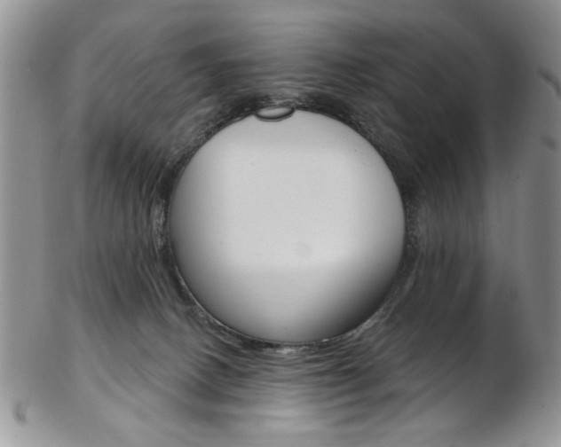 X0000103170082200808221138