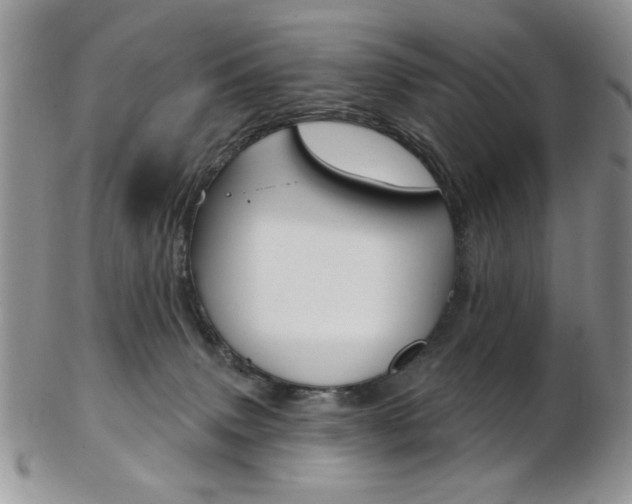 X0000103170083200808221138