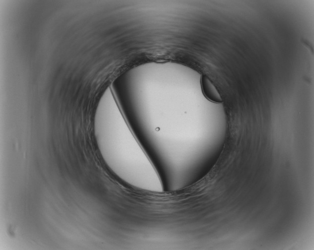 X0000103170085200808221138