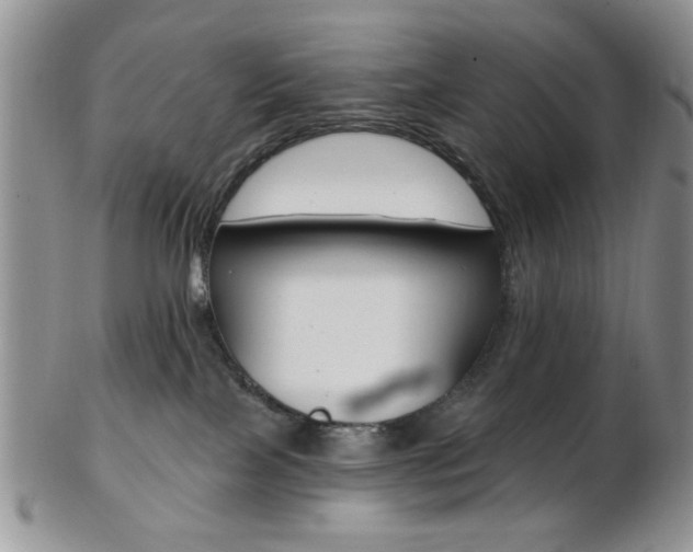 X0000103170089200808221138