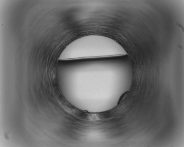 X0000103170091200808221138