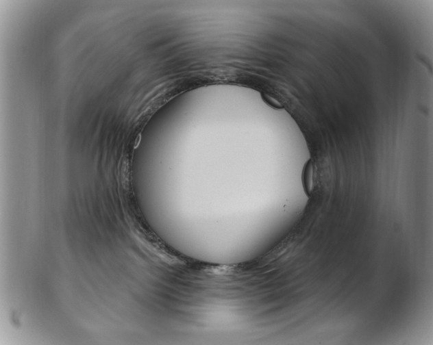 X0000103170092200808221138