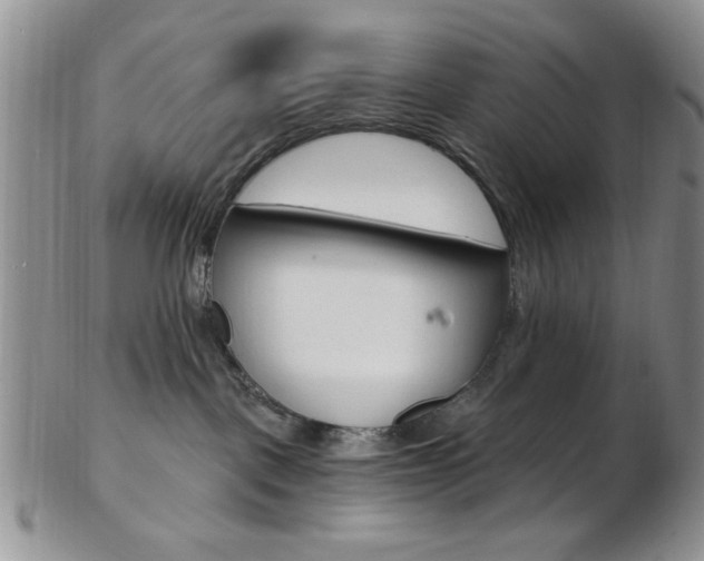 X0000103170093200808221138