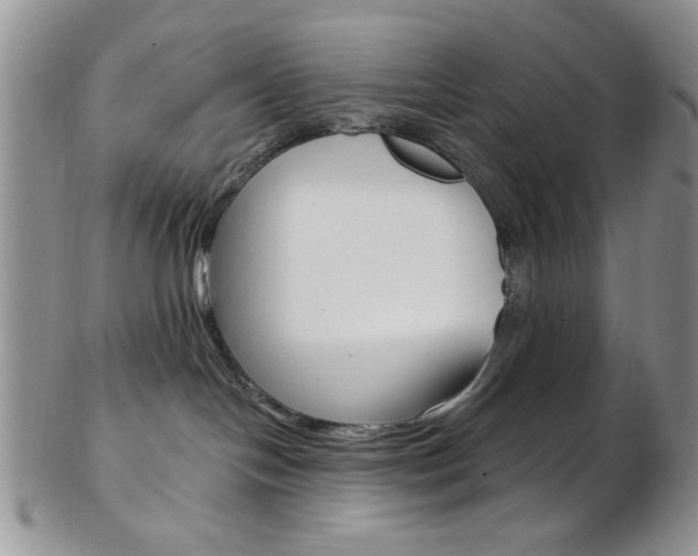 X0000103170094200808221138