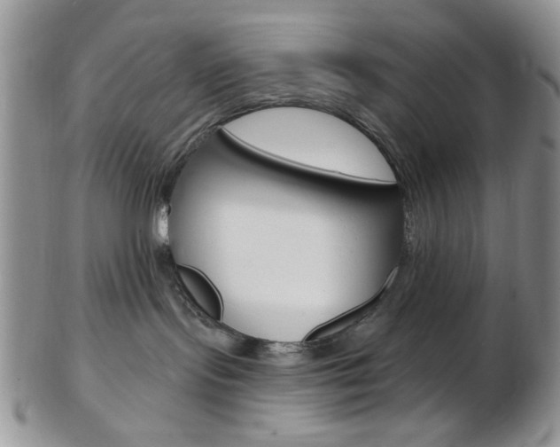 X0000103170095200808221138