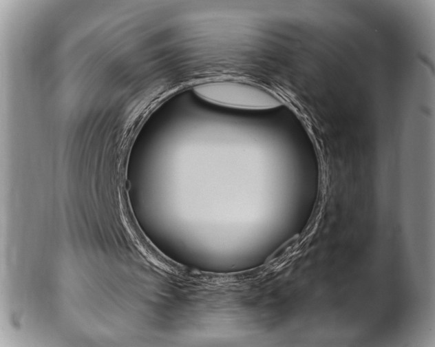 X0000103170097200808221137