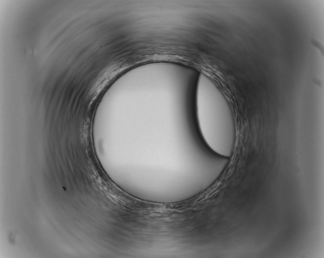 X0000103170098200808221137