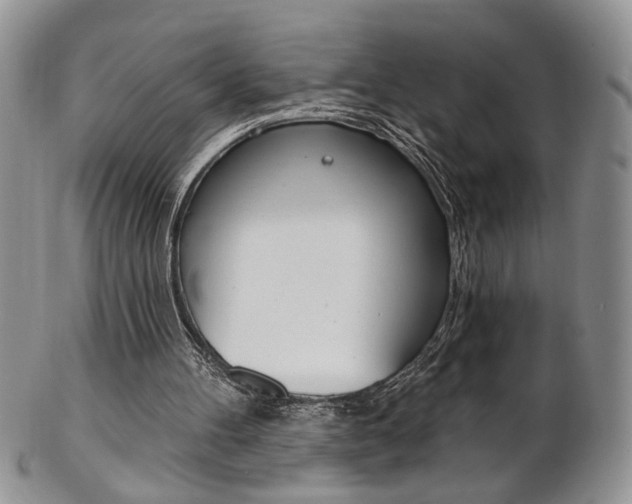 X0000103170100200808221137