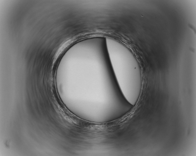 X0000103170102200808221137