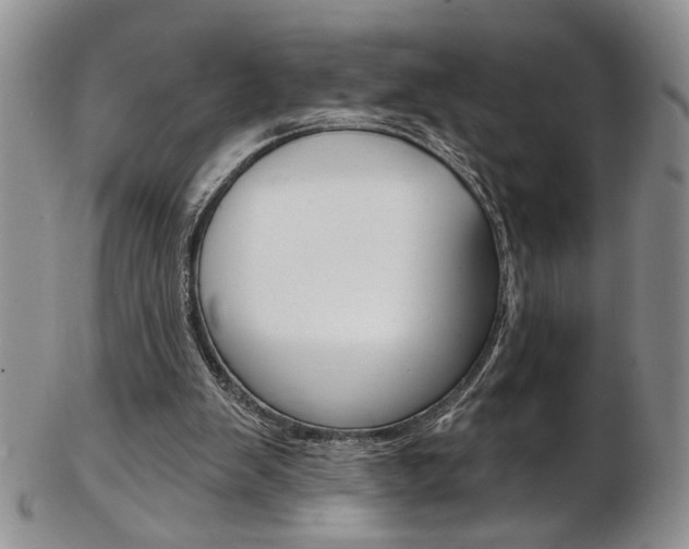 X0000103170103200808221137