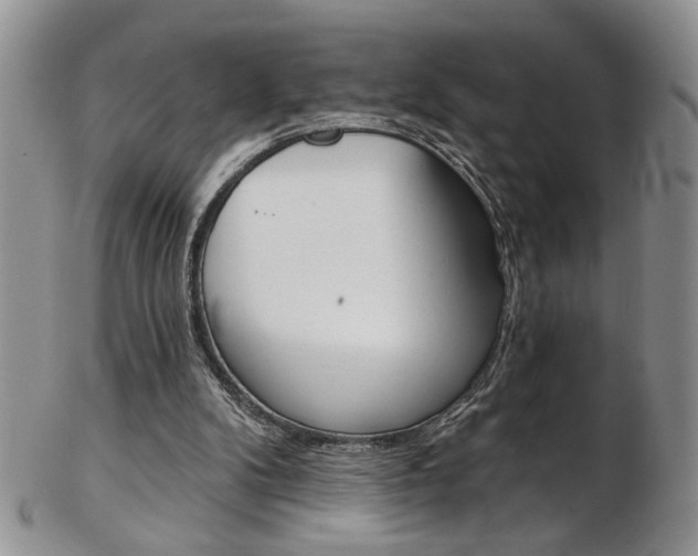 X0000103170104200808221137