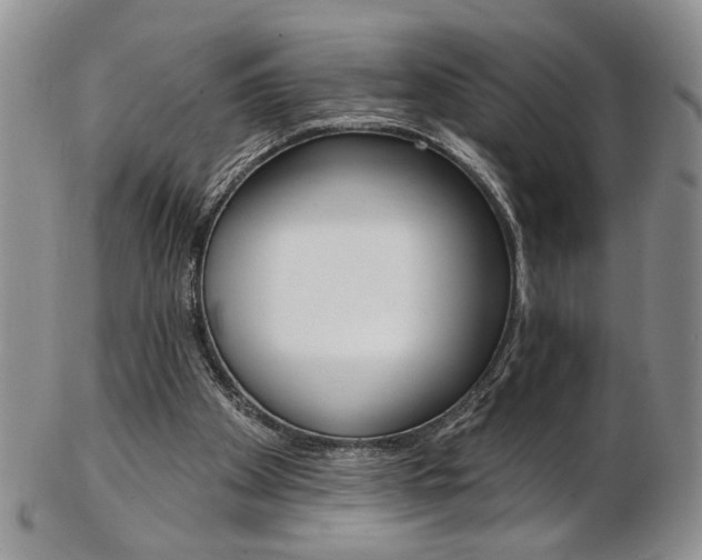 X0000103170105200808221137