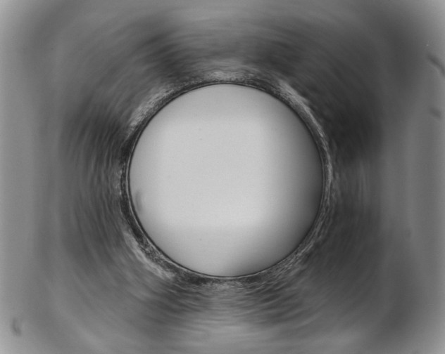 X0000103170106200808221137