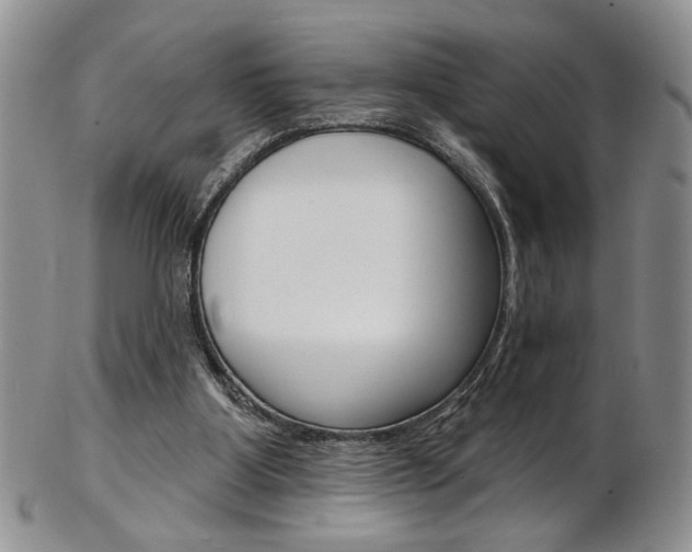X0000103170107200808221137