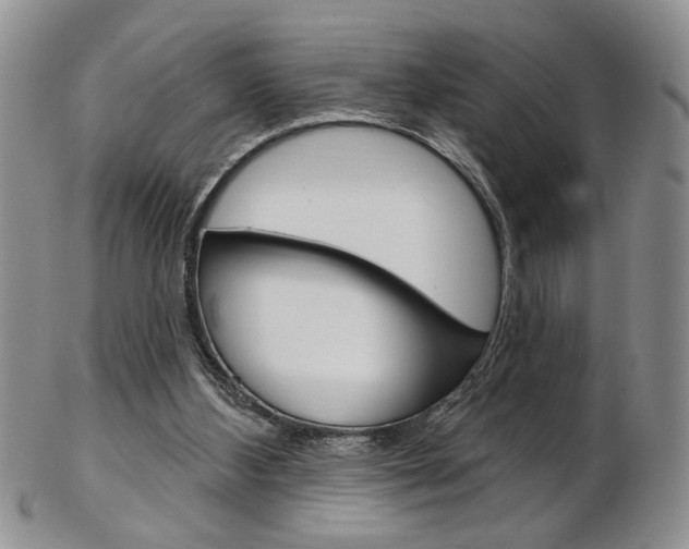 X0000103170108200808221137