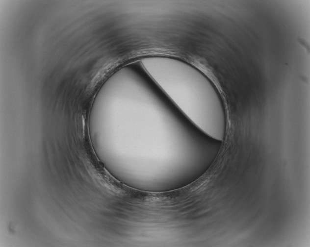 X0000103170109200808221137