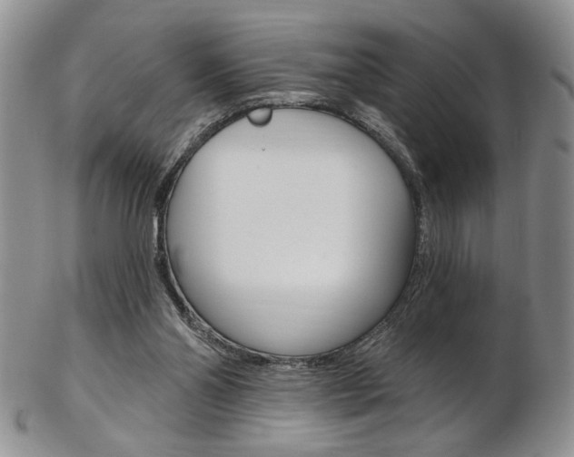 X0000103170110200808221137