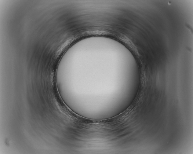X0000103170111200808221137