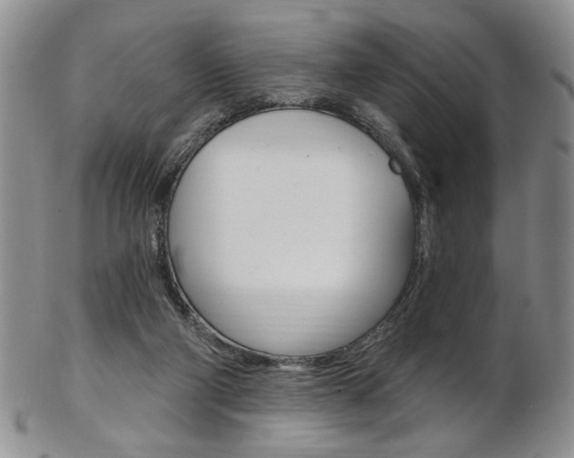 X0000103170114200808221137