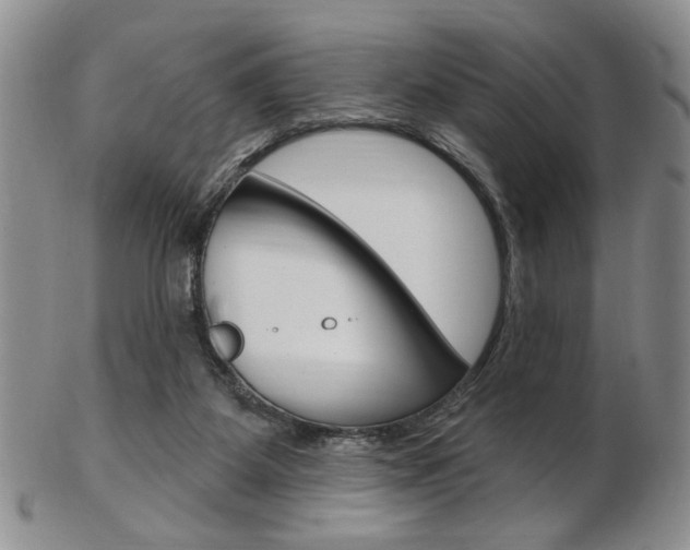 X0000103170115200808221137
