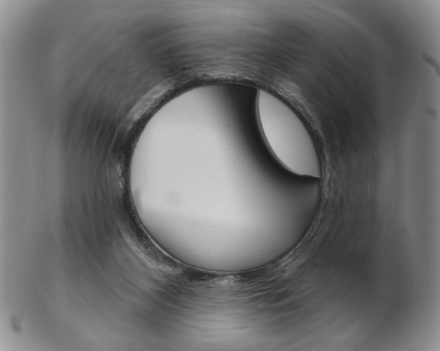 X0000103170116200808221137